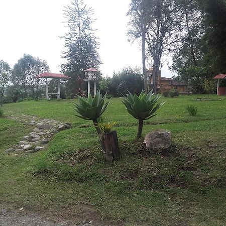Bed and Breakfast La Gaviota Bnb Filandia Zewnętrze zdjęcie